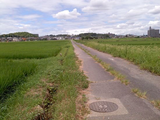 豊明市 田舎