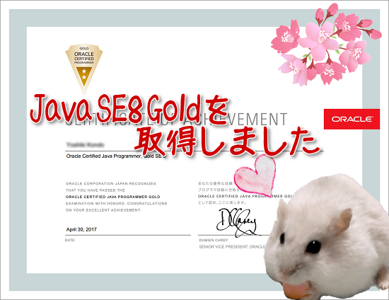 Java SE8 Gold 合格