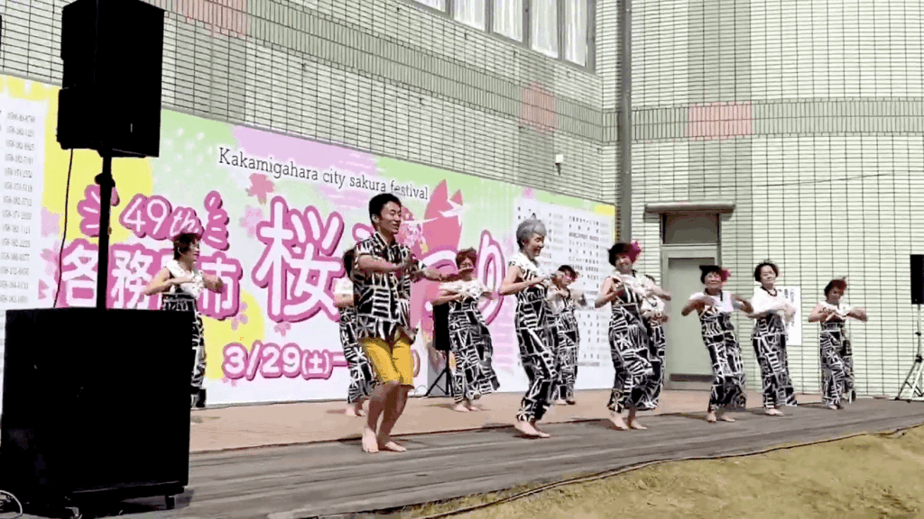 第49回各務原市桜まつり　ステージショー　フラ　アロハ南サークル　アクトス各務原　カ・ウルヴェヒ・オ・ケ・カイ